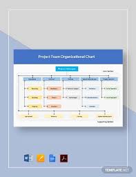 Sample Project Organization Chart 14 Free Documents In