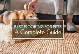 best flooring for pets a complete