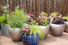 10 common container gardening mistakes