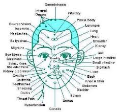 Face Meridian Chart Our Voice Matters