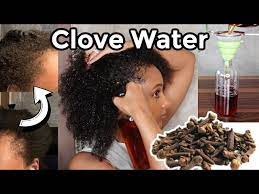 clove water for thicker hair 3 month