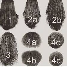 Image Result For Hair Texture Chart In 2019 Curly Hair