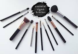 my essential sigma brushes beauty