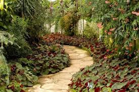 rustic cobblestone garden path