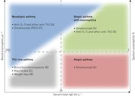 Asthma Phenotypes And Ige Responses European Respiratory