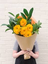 Maybe you would like to learn more about one of these? Teddy Bear Sunflowers Flowers Delivered Hello Blooms Melbourne