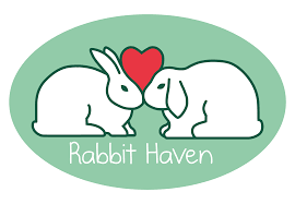 housing rabbit haven