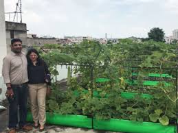 Rooftop Farming Organic Farming