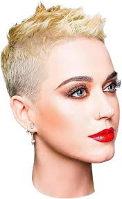 Here is the latest katy perry pixie haircut tutorial.i started with a #4 guard then tapered down to a #2 guard on the bottom and lower sides. Download Report Abuse Katy Perry Cute Short Hair Png Image With No Background Pngkey Com