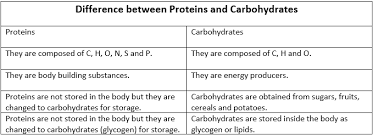 proteins and carbohydrates