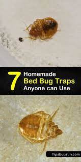 7 homemade bed bug traps anyone can use