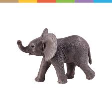 Weitere ideen zu elefanten elefanten bilder und tierbilder. Afrikanisches Elefantenkalb In 2021 Afrikanischer Elefant Asiatischer Elefant Elefant