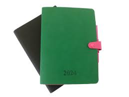 2024 diary pen intempo day a page