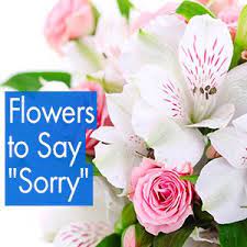 Have the flowers be her favorite kinds and have them delivered to her just before lunch, later bring the choclate to her and meet her just after she gets home from work/school. Flowers To Say Sorry I M Sorry Messages Lolaflora