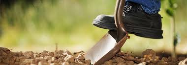 Digging Tools For Gardening Planting