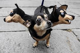 funny three headed dog halloween costume