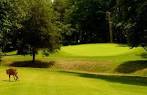 Corunna Hills Golf Course in Corunna, Michigan, USA | GolfPass