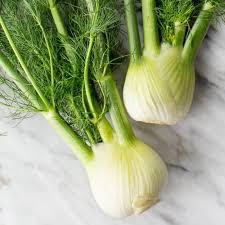 what is fennel and how to cook it
