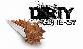 gutter cleaning grand rapids service