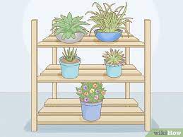 3 Simple Ways To Hang Plants From A