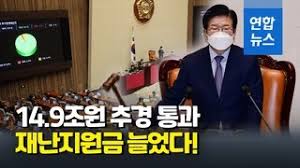 영상] 추경 14.9조원 국회 통과…다음주 지급 시작 : 네이트 뉴스