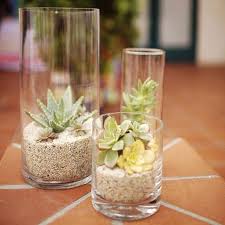 Clear Cylinder Glass Flower Vases