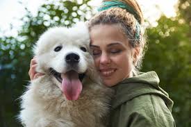 Check spelling or type a new query. 10 Big Fluffy Dog Breeds You Can T Help But Cuddle Great Pet Care