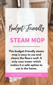 budget friendly steam mop i love this