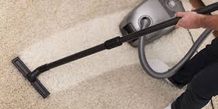 summer carpet cleaning guide cleaning
