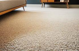 carpet beetle removal from rugs in