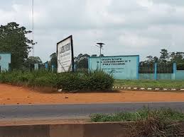 Ogun Polytechnic Students Block Expressway Over Abduction Of Colleagues -  Xtra News