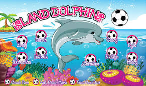 island dolphins custom vinyl banner