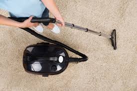 a professional carpet cleaning in salt