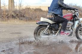 Ride Whatcha Got Taking A Sportster On Two Dual Sport Rides