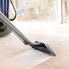beecleaner best carpet cleaners