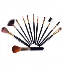 techdizi cosmetic makeup brush set for