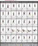 Total Gym Exercise Chart Pdf Gym Workout Chart Total Gym