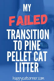 transition to pine pellet cat litter