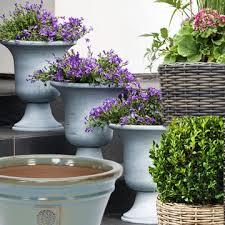 Plant Pots And Containers
