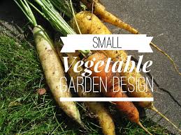 Small Vegetable Garden Try These