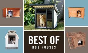 The Best Dog Houses Of 2022 As Rated By