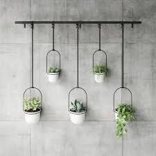 Large Hanging Planter Indoor How To