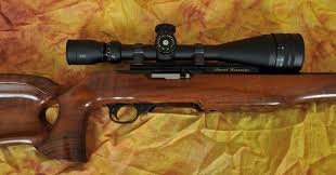 best ruger 10 22 scopes reviewed