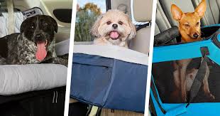 The 12 Best Dog Car Seats Because They