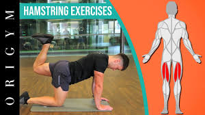 how to build hamstring muscles best
