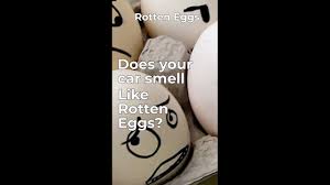 autotechiq rotten egg smell