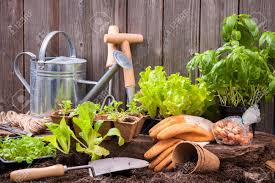 Image result for free images of gardening
