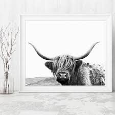 Buy farm canvas prints designed by millions of independent artists from all over the world. Highland Cow Canvas Art Prints And Poster Farm Animal Highland Bull Photography Canvas Prints Picture Modern Wall Art Decor Painting Calligraphy Aliexpress