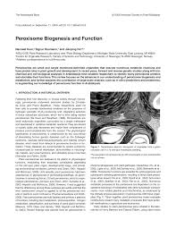 Peroxisomes are small organelles found in eukaryotic plant and animal cells. Pdf Peroxisome Biogenesis And Function