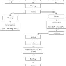 21 Flow Chart Of The Process For The Preparation Of